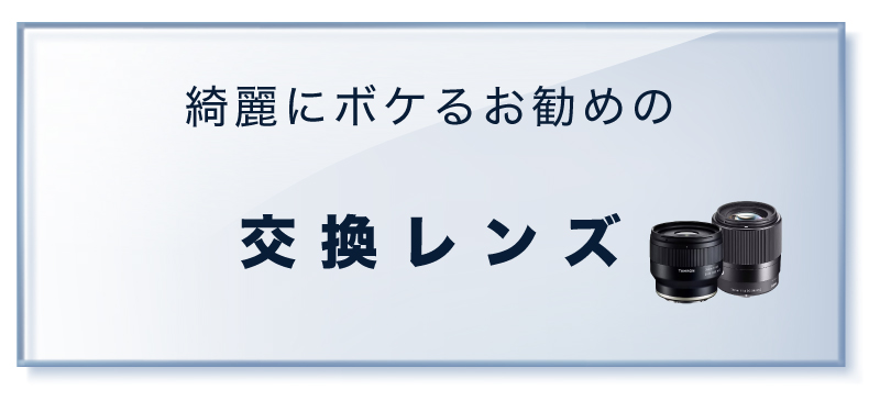 おすすめのデジタルカメラ