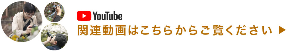 Youtubeプレイリスト