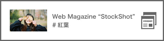 Web Magazine　紅葉