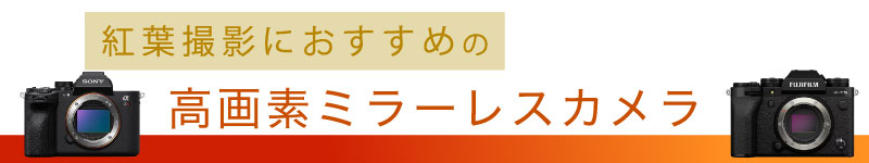 高画素ミラーレスカメラ