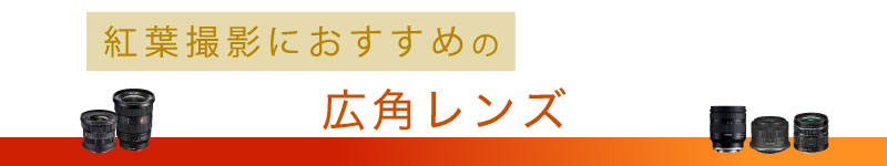 広角レンズ