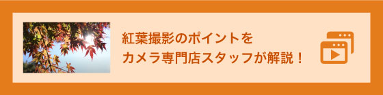 紅葉撮影のポイントをカメラ専門店スタッフが解説！