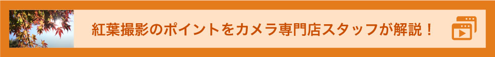 紅葉撮影のポイントをカメラ専門店スタッフが解説！
