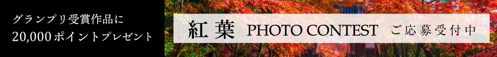 紅葉フォトコンテスト