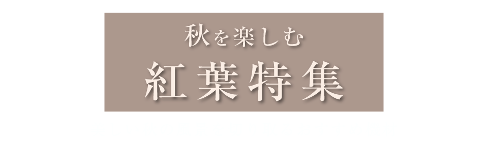 紅葉特集