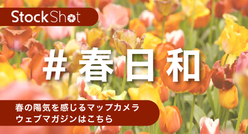 春の息吹