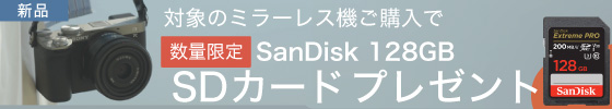 sdカードプレゼント