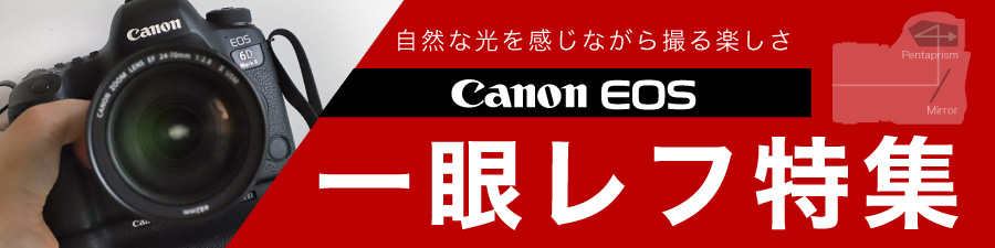 Canon一眼レフピックアップ