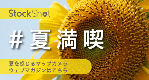 夏満喫