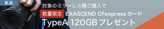 Essential CFexpressカード TypeA 120GBプレゼント