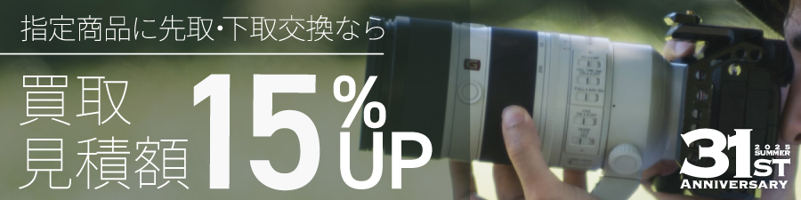 15パーセント