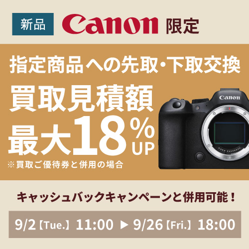 一眼レフカメラ　４K　14-140ミリレンズ　バッテリー　付属品多数　保証書付き 一眼レフカメラ 4K 14-140ミリレンズ バッテリー 付属品多数