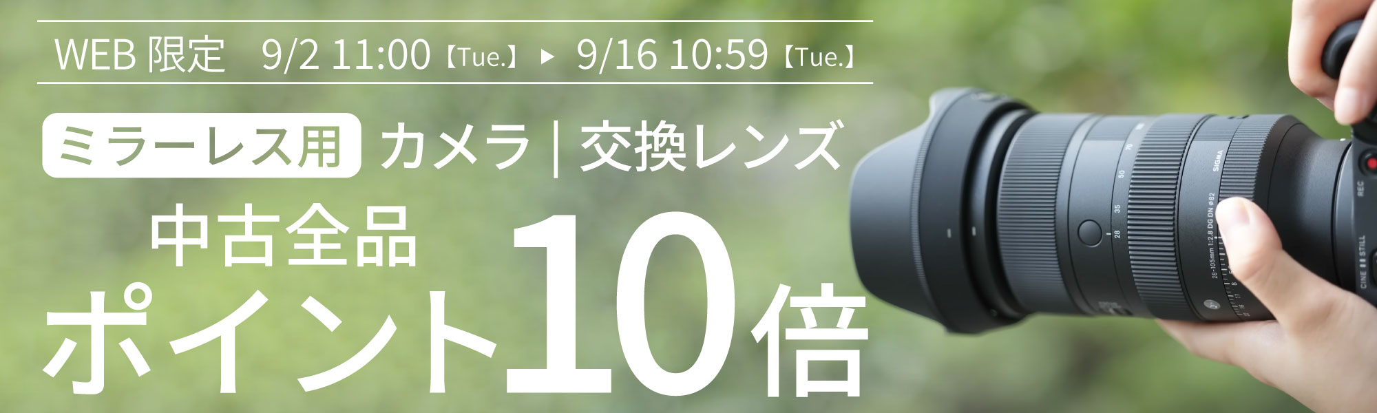 ポイント10倍