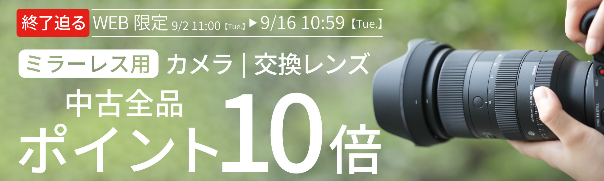 ポイント10倍
