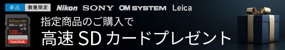 sdカードプレゼント