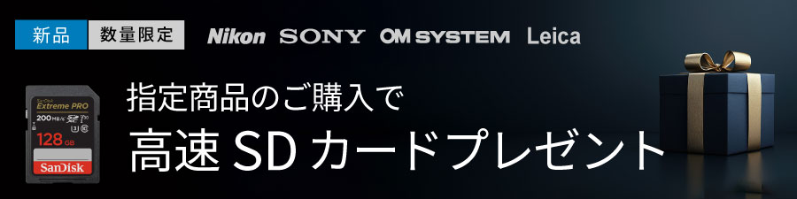 SDカードプレゼント