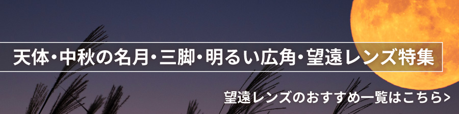 used summer sale
