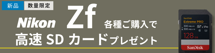 オリジナルイージーラッパーや高速SDカードプレゼント