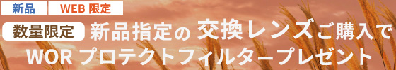 数量限定！WEB限定新品指定の交換レンズご購入でWORプロテクトフィルタープレゼント 数に限りがございますので、お求めはお早めに!!