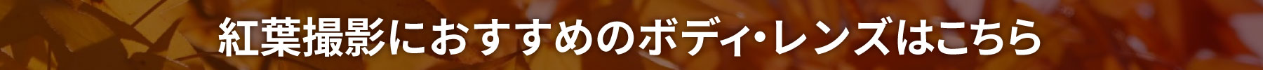 紅葉撮影におすすめのボディ・レンズ