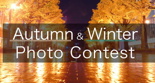 フォトコンテスト