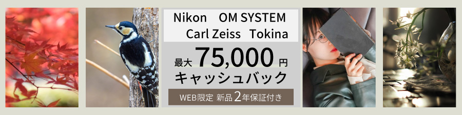 キャッシュバック実施中