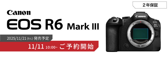 超美品　1036ショット　Canon EOS 5D Mark II ボディ 超美品 1036ショット Canon EOS 5D Mark II ボディ Canon EOS 5D Mark MK