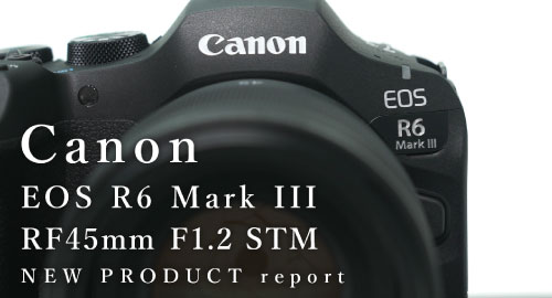 先行レポート動画