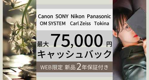 allキャッシュバックキャンペーン