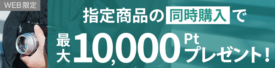 同時購入でポイントプレゼント