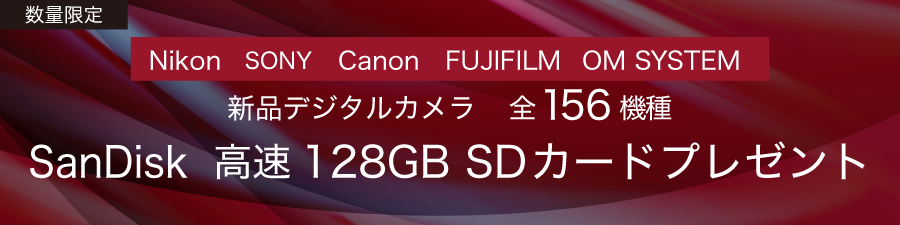 デジタルカメラ　SDプレゼント　ブラックフライデー