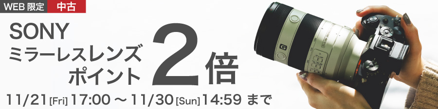 SONY ミラーレス レンズ ポイント2倍
