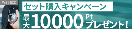 同時購入でポイントプレゼント