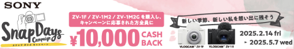 スナップデイズ