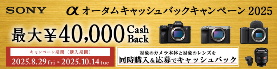 nikonキャッシュバックキャンペーン
