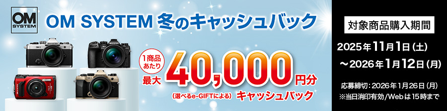 冬のキャッシュバックキャンペーン2025