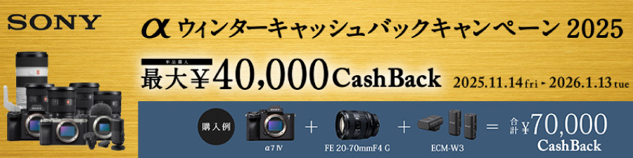 αウィンターキャッシュバックキャンペーン2025