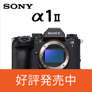a1