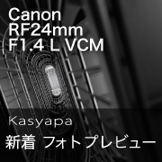 EOS　RF24mm blog