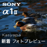 α１II Kasyapa