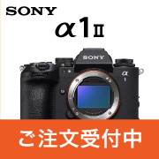 a1