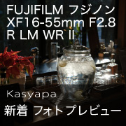 x1655_kasyapa