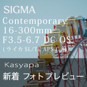 c16300mmkasyapa