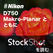 D750 Blog