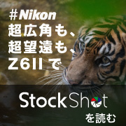 Z6II Blog