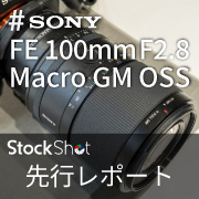 FE100macro先行レポート