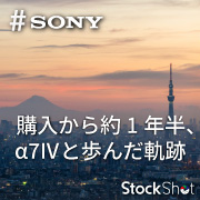 購入から約1年半、α7IVと歩んだ軌跡