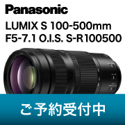 LumixS100-500