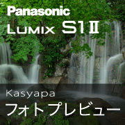 LumixS1II_kasyapa