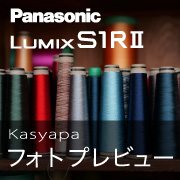 LUMIX s1rii